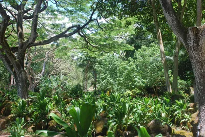 2007_05_30_HAWAII (76) (Large).JPG